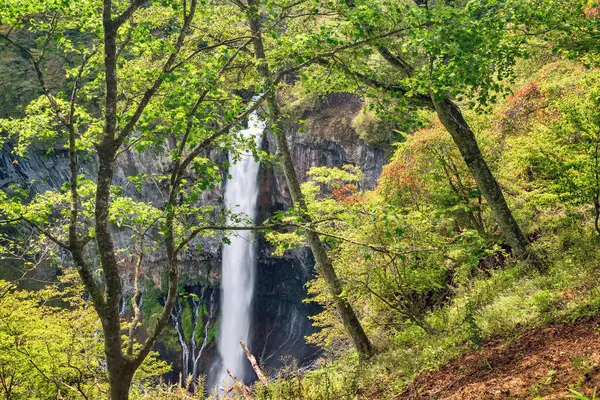 日本Nikko的Kegon Falls 图库照片