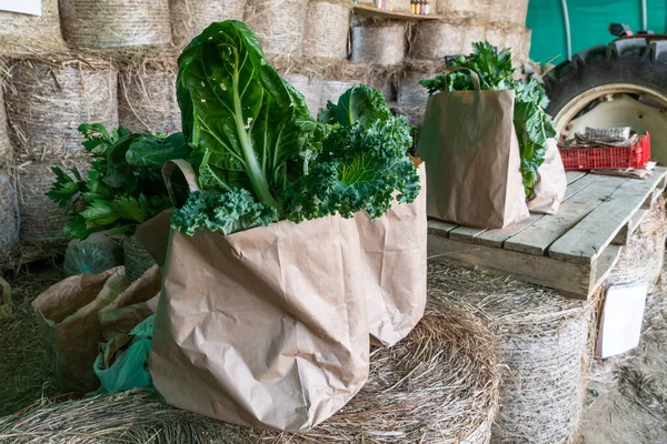 Baskets Vegetables Products Ready Sale Farm — Stok fotoğraf