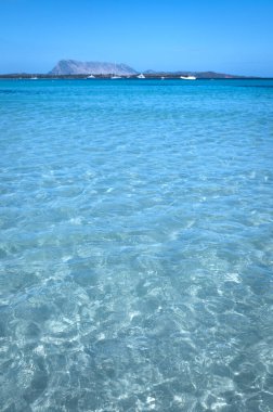 Güzel suyu olan ünlü La Cinta plajı. Sardinya, İtalya 'da San Theodoro