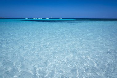 Güzel suyu olan ünlü La Cinta plajı. Sardinya, İtalya 'da San Theodoro