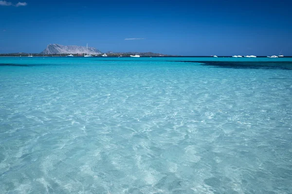Kända Cinta Stranden Med Vackert Vatten San Theodoro Sardinien Italien Royaltyfria Stockfoton