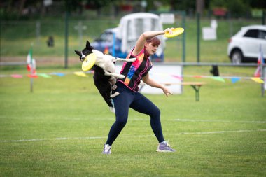 22 Haziran 2024, Saint Didier de Formans, Fransa: Amerika Birleşik Devletleri 'nde yaygın olarak kullanılan bir spor olan Disc Dog' u uygulayan bir kadın..