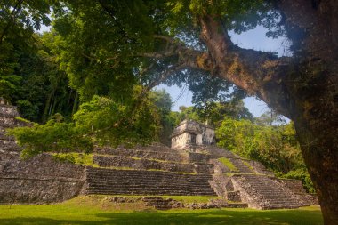 Güzel Palenque kalıntıları, piramitler ve saray, Yucatan, Meksika