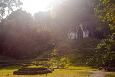 Güzel Palenque kalıntıları, piramitler ve saray, Yucatan, Meksika