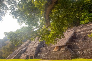 Güzel Palenque kalıntıları, piramitler ve saray, Yucatan, Meksika