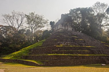 Güzel Palenque kalıntıları, piramitler ve saray, Yucatan, Meksika