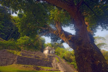 Güzel Palenque kalıntıları, piramitler ve saray, Yucatan, Meksika