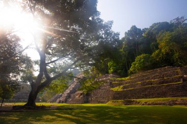 Güzel Palenque kalıntıları, piramitler ve saray, Yucatan, Meksika