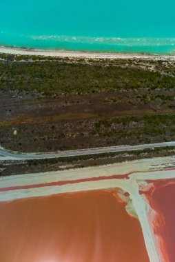 Pembe göller ve okyanus, Las Coloradas, Meksika 'da doğa.