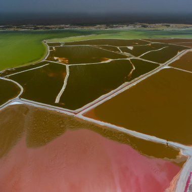 Pembe göller ve okyanus, Las Coloradas, Meksika 'da doğa.