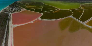 Pembe göller ve okyanus, Las Coloradas, Meksika 'da doğa.