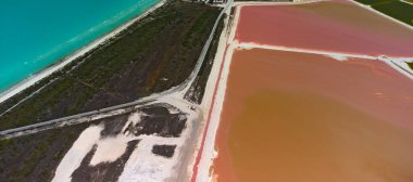 Pembe göller ve okyanus, Las Coloradas, Meksika 'da doğa.