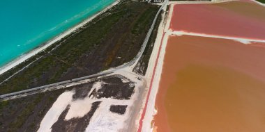 Pembe göller ve okyanus, Las Coloradas, Meksika 'da doğa.