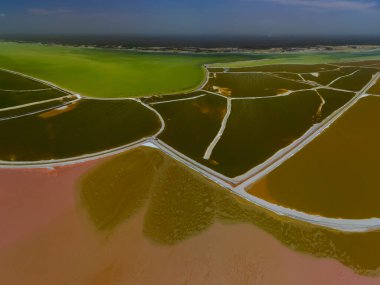 Pembe göller ve okyanus, Las Coloradas, Meksika 'da doğa.