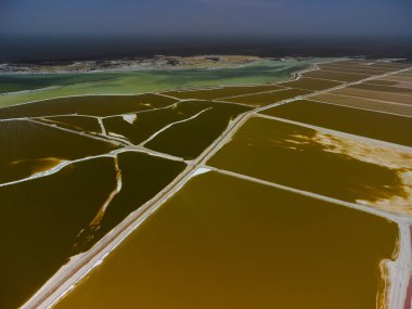 Pembe göller ve okyanus, Las Coloradas, Meksika 'da doğa.