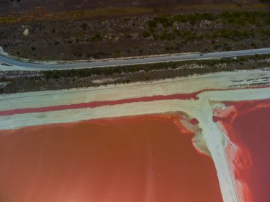 Pembe göller ve okyanus, Las Coloradas, Meksika 'da doğa.