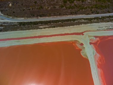 Pembe göller ve okyanus, Las Coloradas, Meksika 'da doğa.
