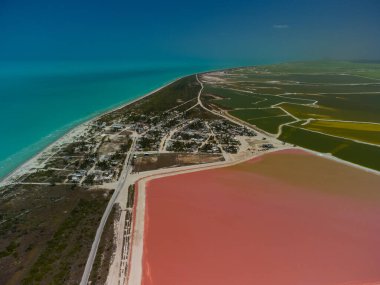 Pembe göller ve okyanus, Las Coloradas, Meksika 'da doğa.