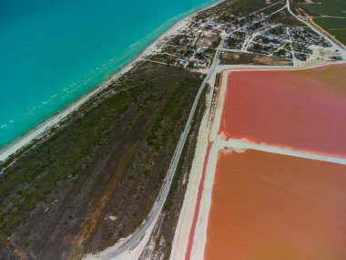 Pembe göller ve okyanus, Las Coloradas, Meksika 'da doğa.
