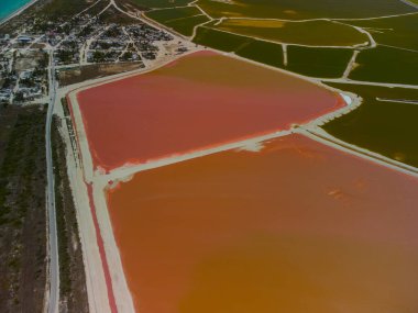 Pembe göller ve okyanus, Las Coloradas, Meksika 'da doğa.