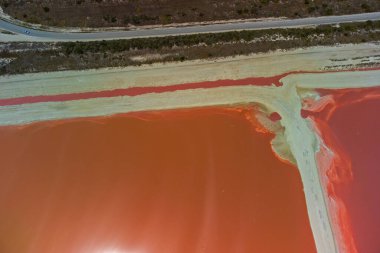 Pembe göller ve okyanus, Las Coloradas, Meksika 'da doğa.