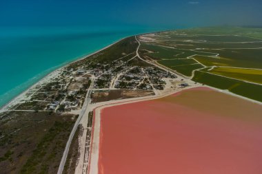 Pembe göller ve okyanus, Las Coloradas, Meksika 'da doğa.