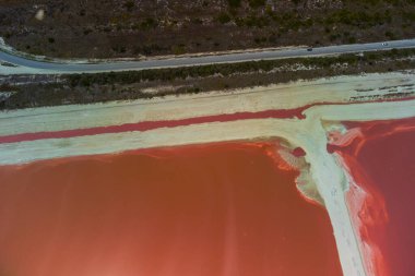 Pembe göller ve okyanus, Las Coloradas, Meksika 'da doğa.