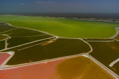 Pembe göller ve okyanus, Las Coloradas, Meksika 'da doğa.