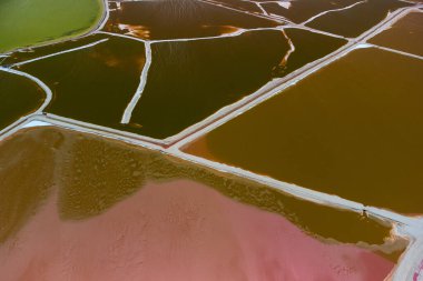 Pembe göller ve okyanus, Las Coloradas, Meksika 'da doğa.