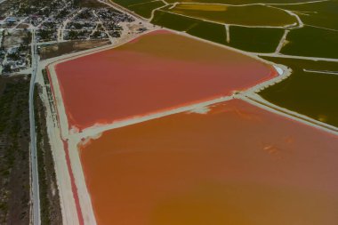 Pembe göller ve okyanus, Las Coloradas, Meksika 'da doğa.