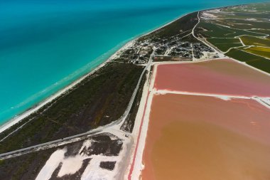 Pembe göller ve okyanus, Las Coloradas, Meksika 'da doğa.