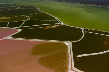 Pembe göller ve okyanus, Las Coloradas, Meksika 'da doğa.