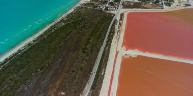 Pembe göller ve okyanus, Las Coloradas, Meksika 'da doğa.
