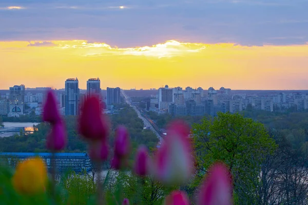 Kyiv city top view flom park Slavy with tulips flowerbed