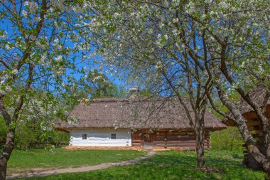 İlkbaharda Kyiv yakınlarındaki Pirogovo Müzesi, Ukrayna