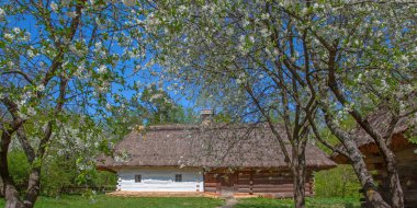 İlkbaharda Kyiv yakınlarındaki Pirogovo Müzesi, Ukrayna