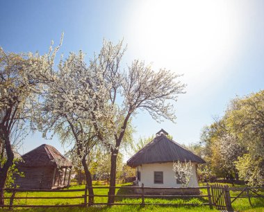 İlkbaharda Kyiv yakınlarındaki Pirogovo Müzesi, Ukrayna