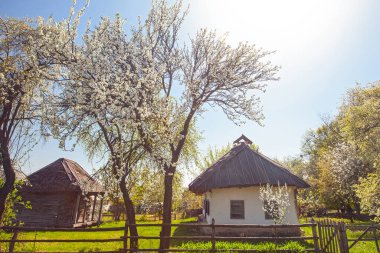 İlkbaharda Kyiv yakınlarındaki Pirogovo Müzesi, Ukrayna