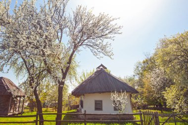 İlkbaharda Kyiv yakınlarındaki Pirogovo Müzesi, Ukrayna