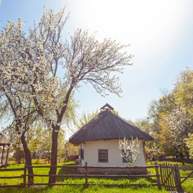 İlkbaharda Kyiv yakınlarındaki Pirogovo Müzesi, Ukrayna