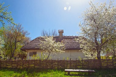 İlkbaharda Kyiv yakınlarındaki Pirogovo Müzesi, Ukrayna