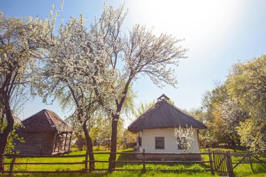 İlkbaharda Kyiv yakınlarındaki Pirogovo Müzesi, Ukrayna