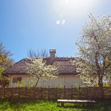 İlkbaharda Kyiv yakınlarındaki Pirogovo Müzesi, Ukrayna
