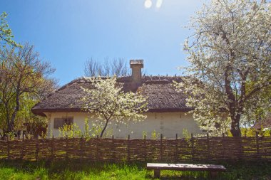 İlkbaharda Kyiv yakınlarındaki Pirogovo Müzesi, Ukrayna