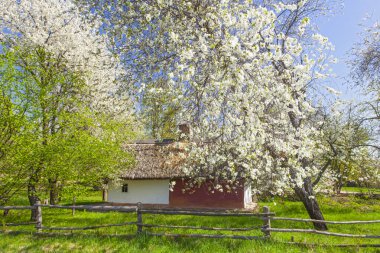 İlkbaharda Kyiv yakınlarındaki Pirogovo Müzesi, Ukrayna