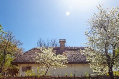 İlkbaharda Kyiv yakınlarındaki Pirogovo Müzesi, Ukrayna