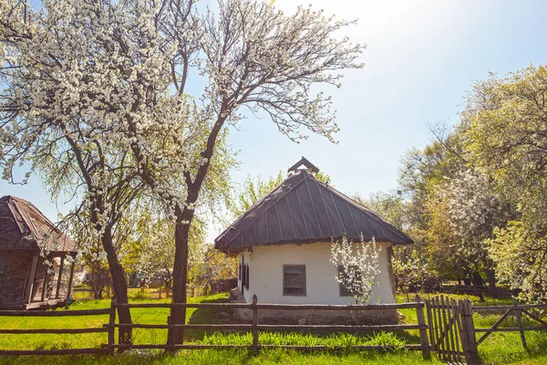 İlkbaharda Kyiv yakınlarındaki Pirogovo Müzesi, Ukrayna