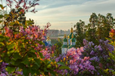 Kyiv 'in ve Hryshko botanik bahçesindeki Vydubychi manastırının gündoğumu manzarası, leylak çiçekleri, Ukaine