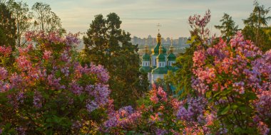 Kyiv 'in ve Hryshko botanik bahçesindeki Vydubychi manastırının gündoğumu manzarası, leylak çiçekleri, Ukaine
