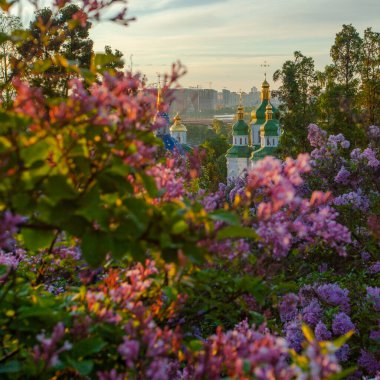 Kyiv 'in ve Hryshko botanik bahçesindeki Vydubychi manastırının gündoğumu manzarası, leylak çiçekleri, Ukaine